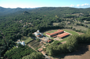 image (5)